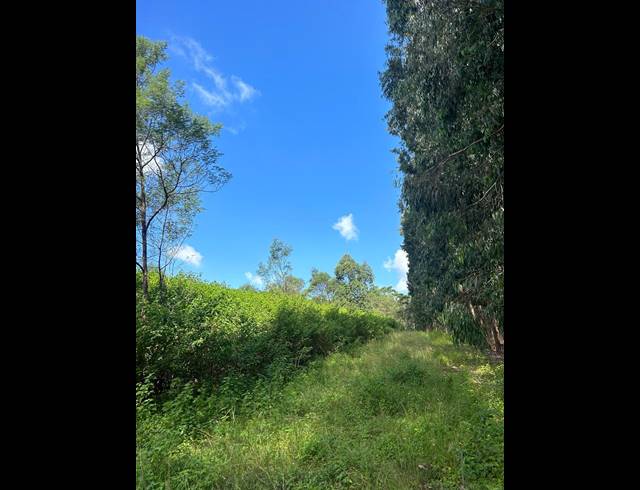 4M² VACANT LAND FOR SALE IN MELMOTH RURAL